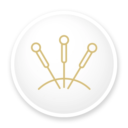 Acupuncture Icon