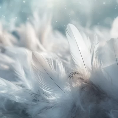 Holistic Healing Toms Rivers NJ Feathers Holistic Healing Toms Rivers NJ Feathers